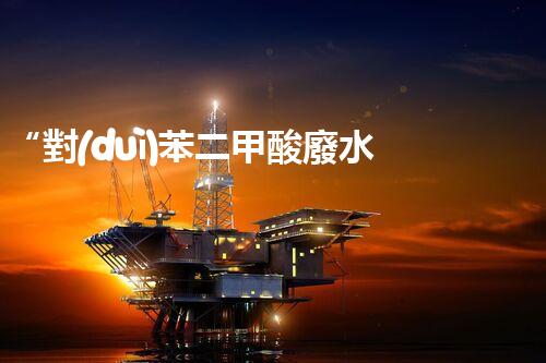 “對(duì)苯二甲酸廢水處理，綠色創(chuàng)新引領(lǐng)環(huán)保新篇章”